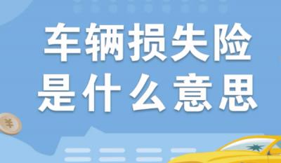 车辆损失险是什么意思 车辆受到保险范围损害可理赔（雷击/暴雨）