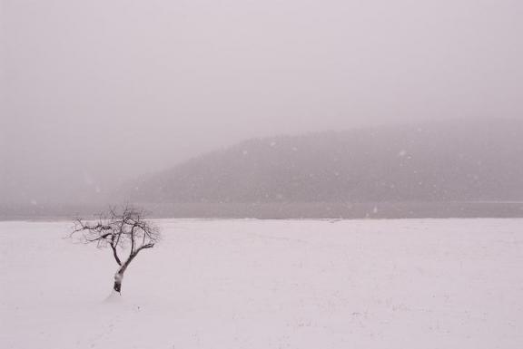 换雪地胎分前后吗？